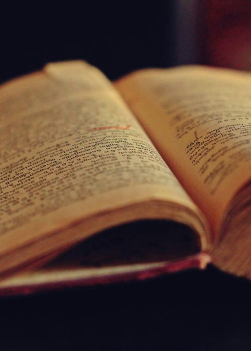 pexels-gold7k-69004 Collection de livres anciens